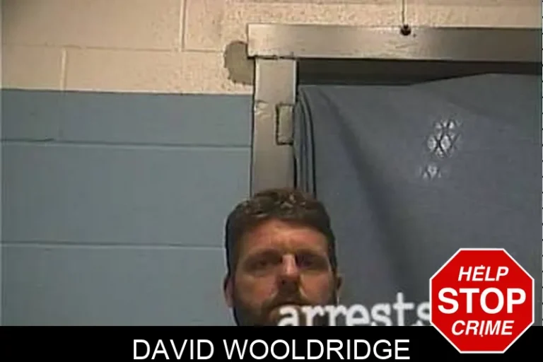 David Wooldridge