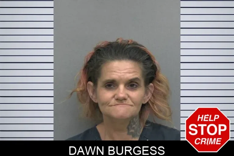 Dawn Burgess