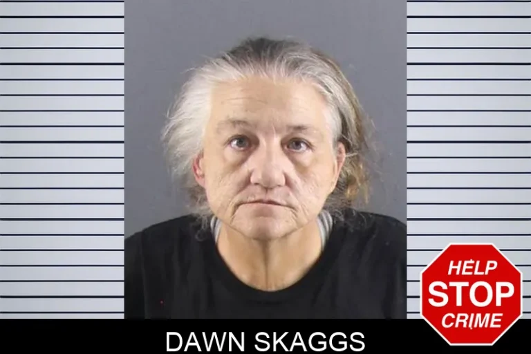 Dawn Skaggs