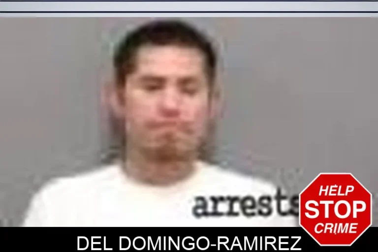Del Domingo-Ramirez