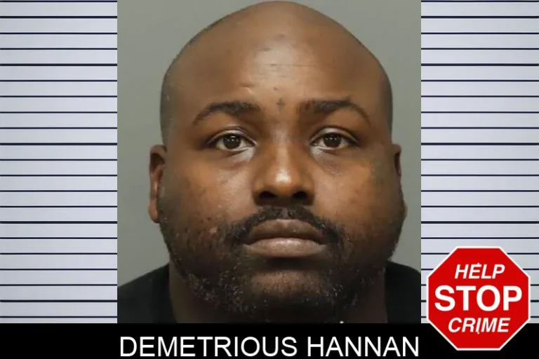 Demetrious Hannan
