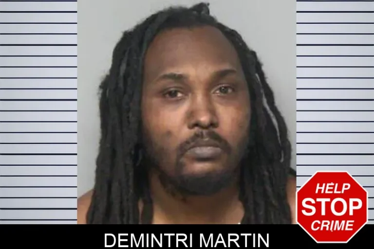 Demintri Martin