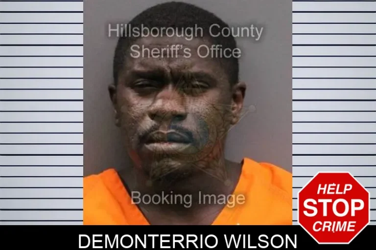 Demonterrio Wilson