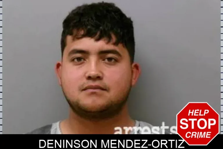 Deninson Mendez-Ortiz