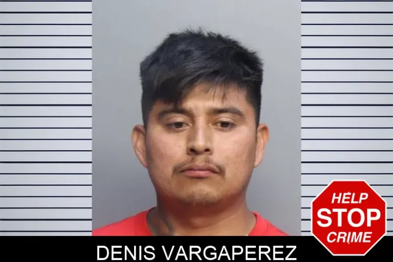 Denis Vargaperez