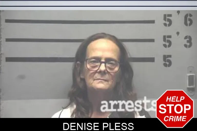 Denise Pless