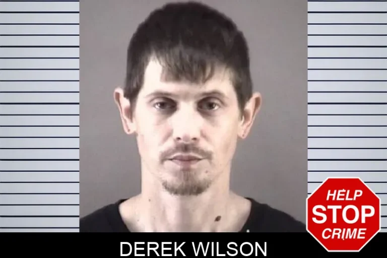 Derek Wilson