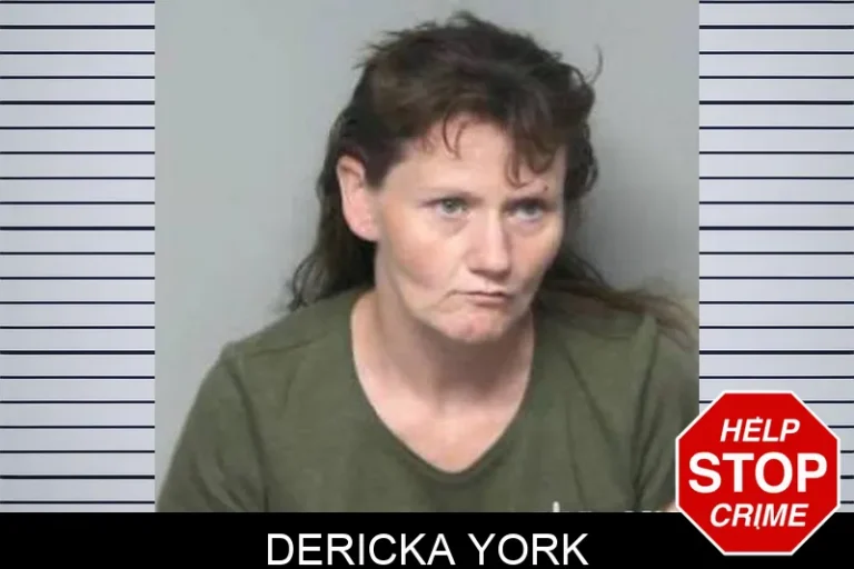 Dericka York
