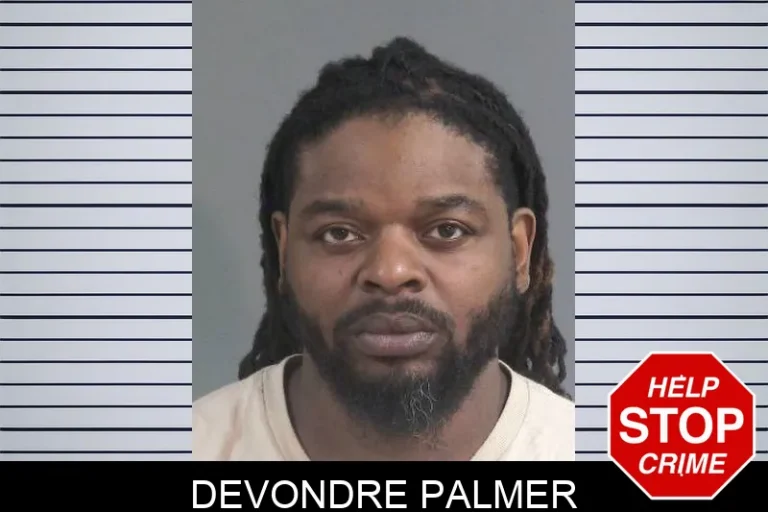 Devondre Palmer