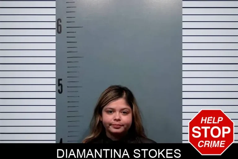 Diamantina Stokes
