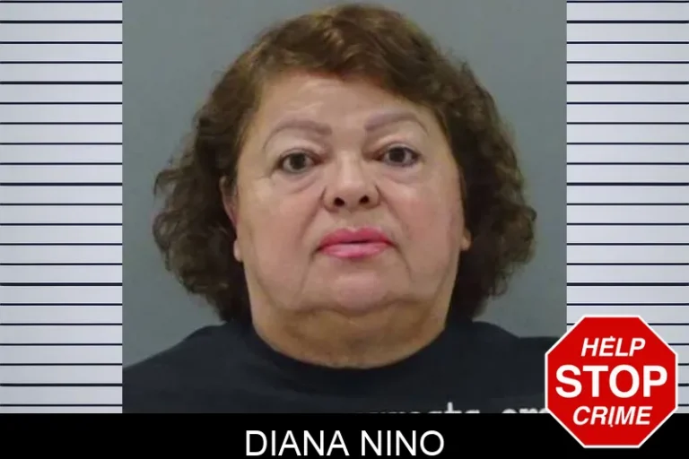 Diana Nino