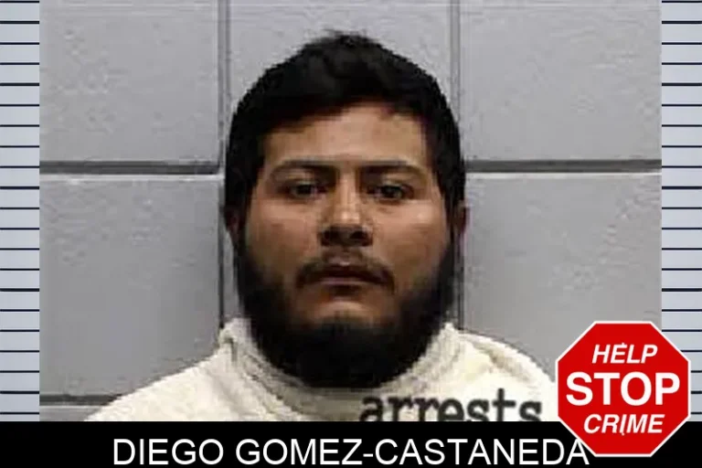 Diego Gomez-Castaneda