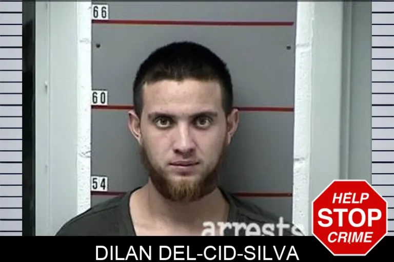 Dilan Del-Cid-Silva