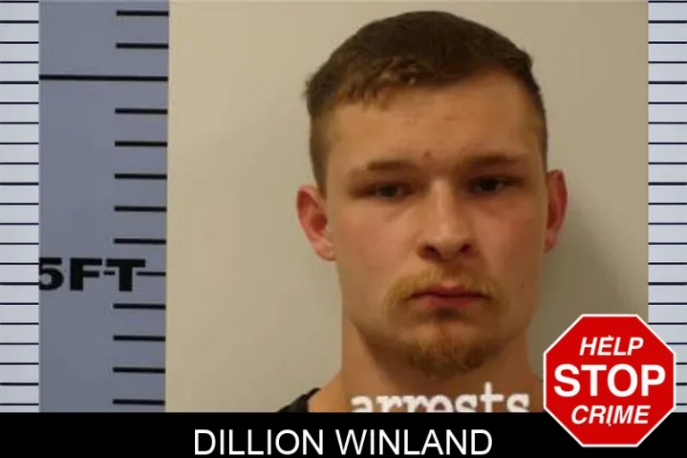 Dillion Winland