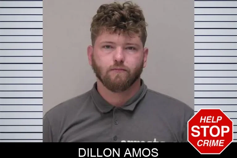 Dillon Amos