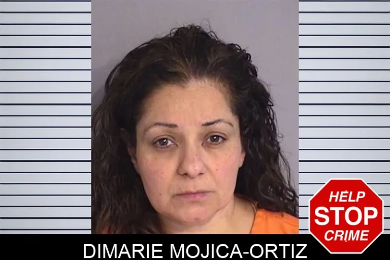 Dimarie Mojica-Ortiz