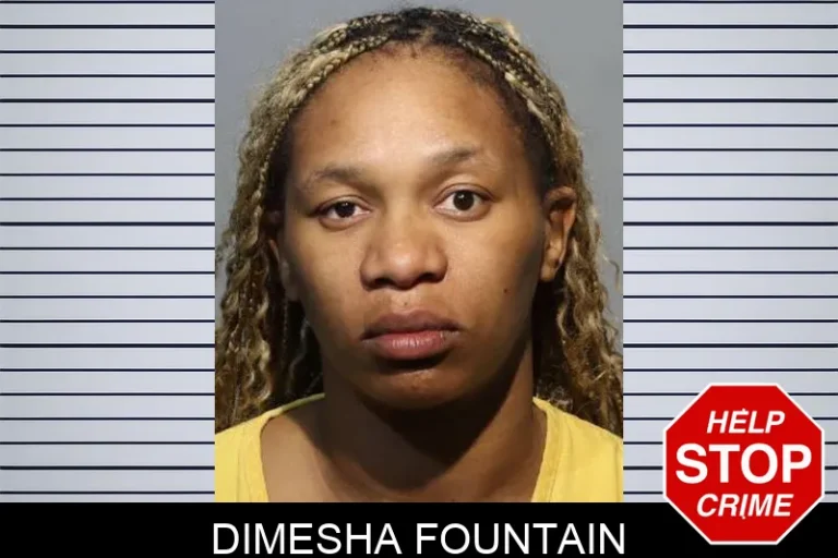 Dimesha FouNtain