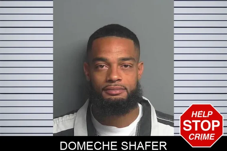 Domeche Shafer