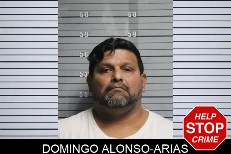 Domingo Alonso-Arias