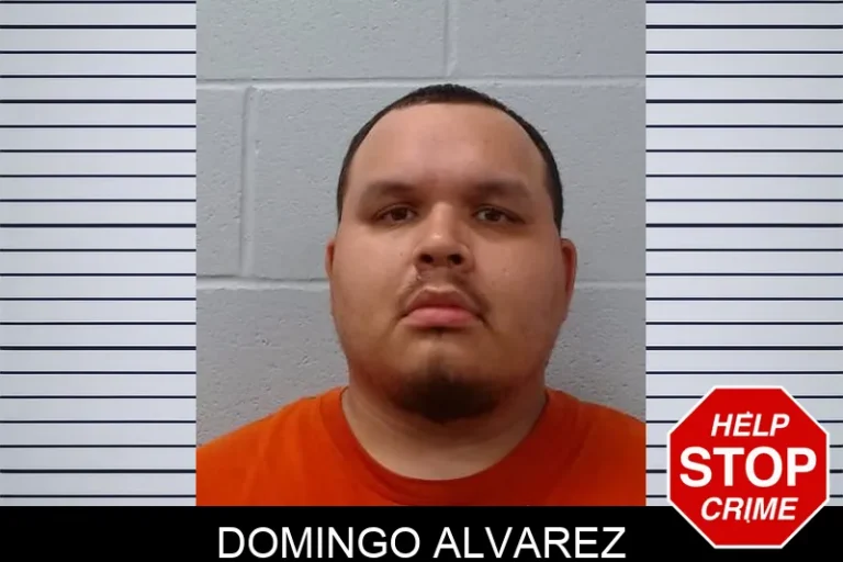 Domingo Alvarez