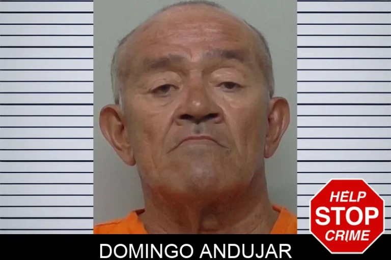 Domingo Andujar