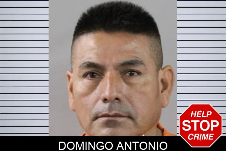 Domingo Antonio