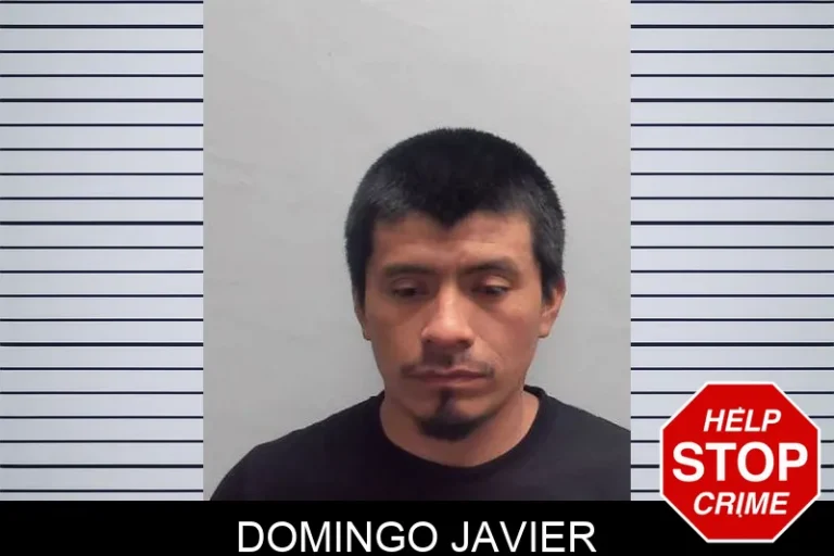 Domingo Javier