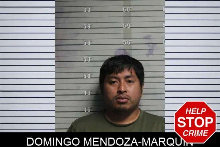 Domingo Mendoza-Marquin