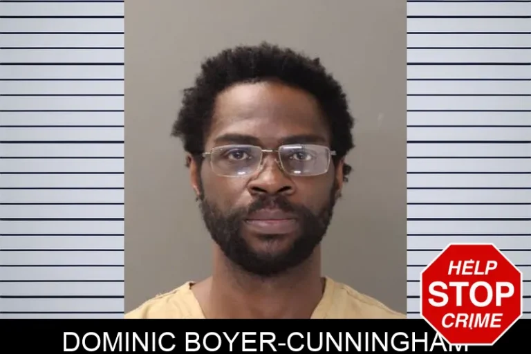 Dominic Boyer-Cunningham