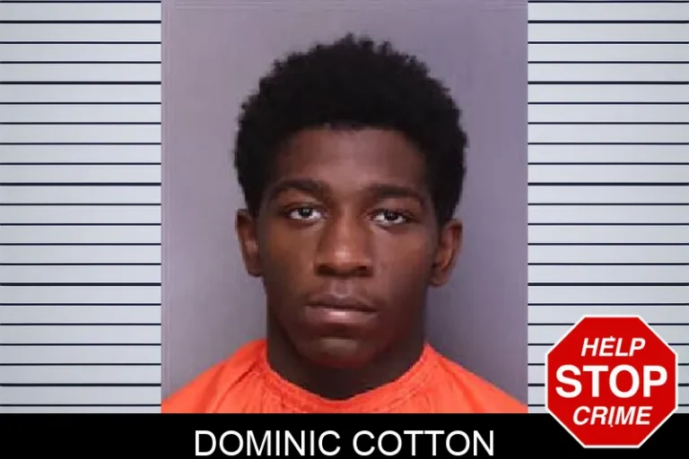 Dominic Cotton