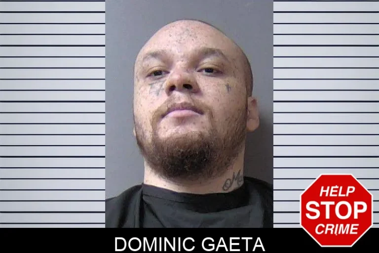 Dominic Gaeta