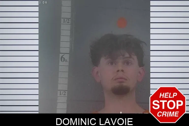 Dominic Lavoie