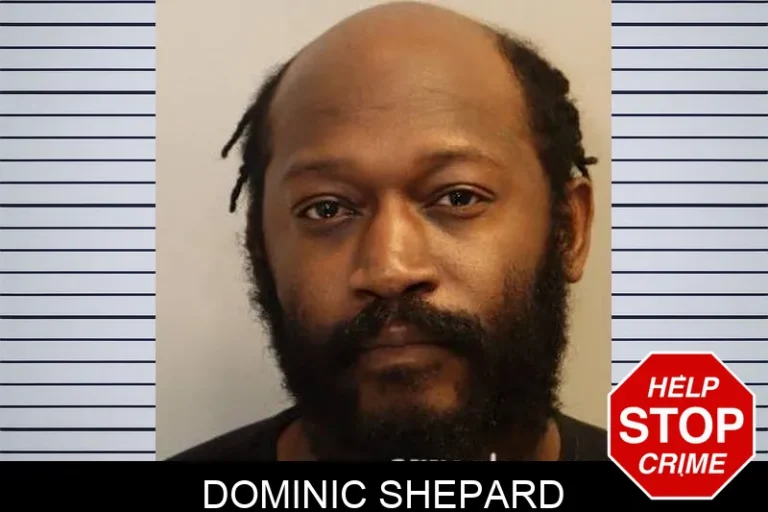 Dominic Shepard