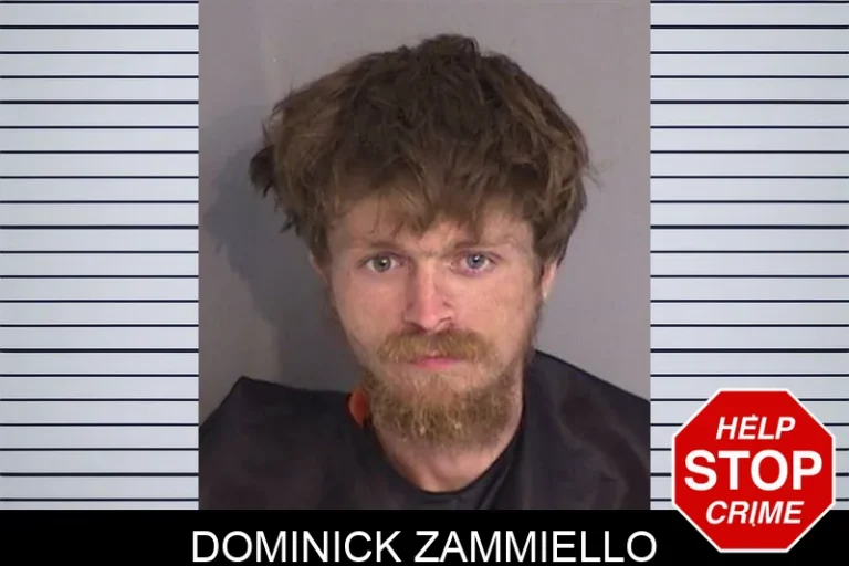Dominick Zammiello