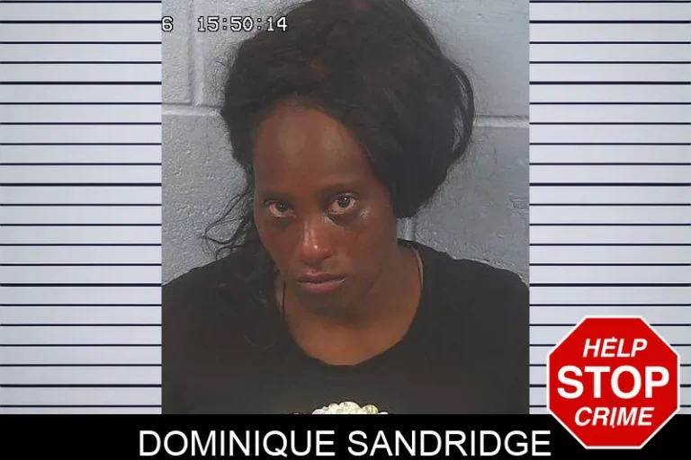 DominiquE Sandridge