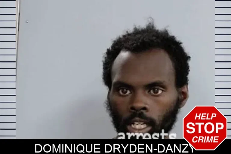 Dominique Dryden-Danzy