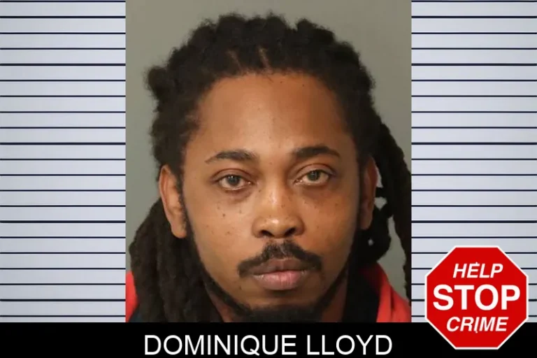 Dominique Lloyd