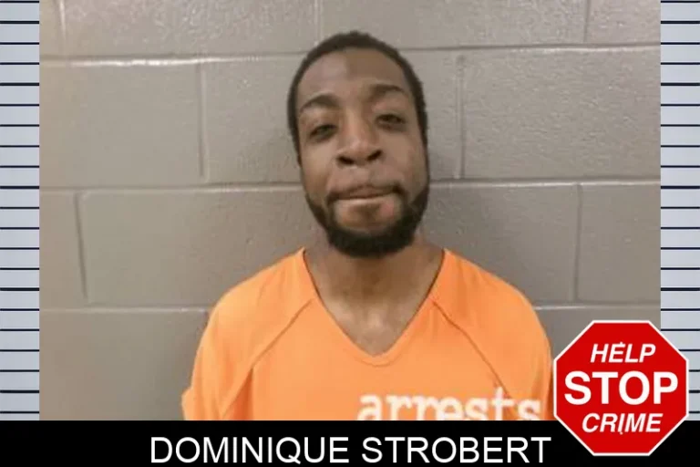 Dominique Strobert