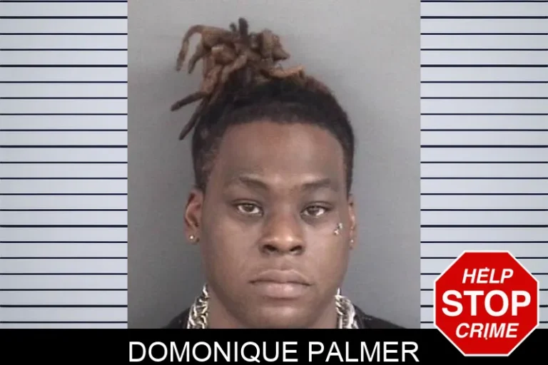 Domonique Palmer