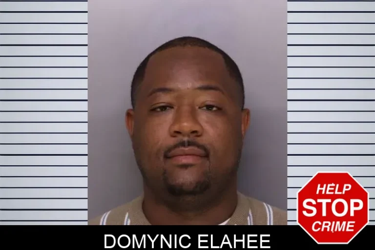 Domynic Elahee