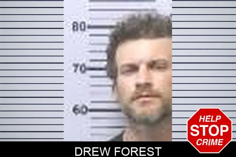 Drew Forest