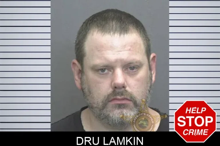 Dru Lamkin
