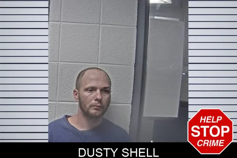 Dusty Shell