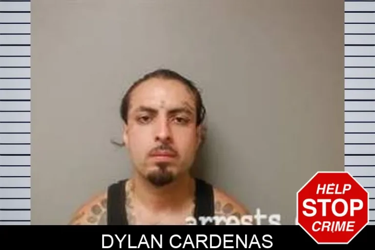 Dylan Cardenas