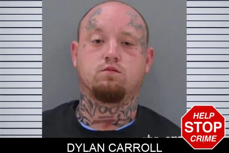 Dylan Carroll