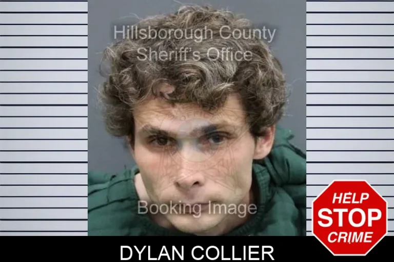 Dylan Collier