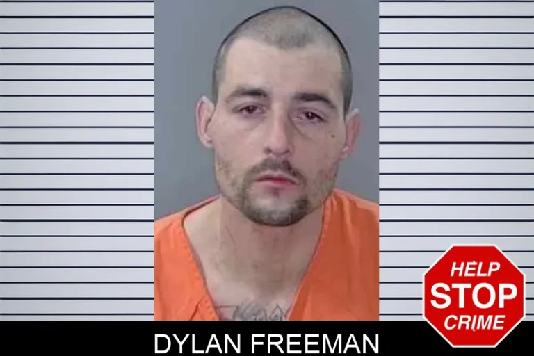 Dylan Freeman