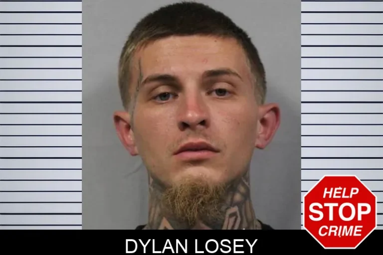 Dylan Losey