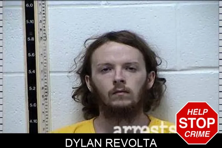 Dylan Revolta