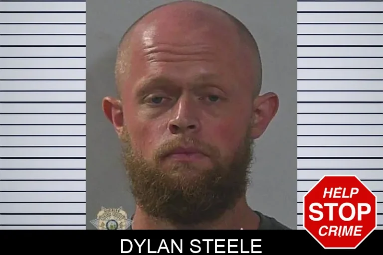 Dylan Steele
